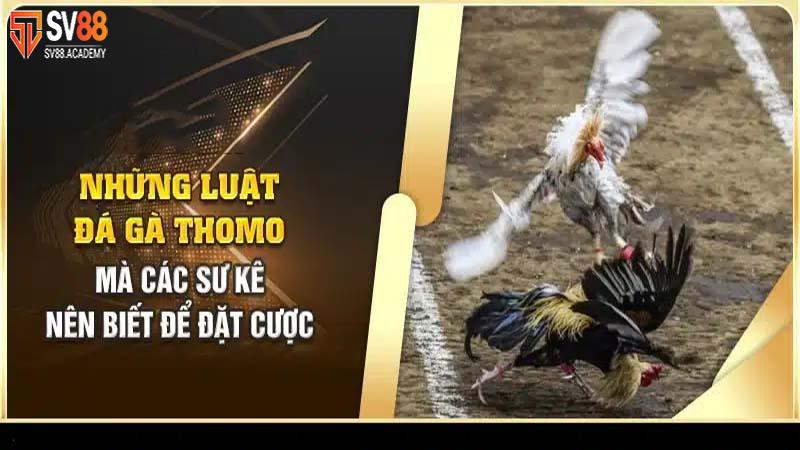 Tham Gia Đá Gà Thomo