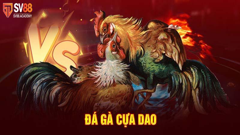 Đá gà cựa dao - Thể loại cá độ đẳng cấp tại nhà cái SV88 9 Thể thao đá gà cựa dao