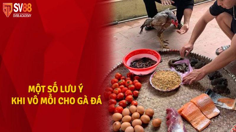 Lưu ý trong việc vô mồi cho gà